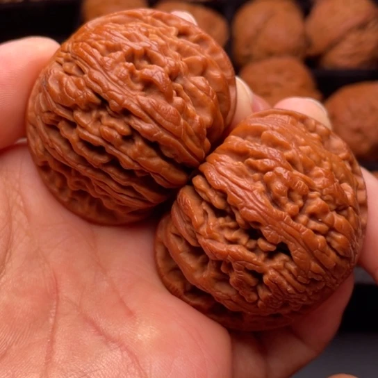 文玩核桃把件秦岭山脉核桃