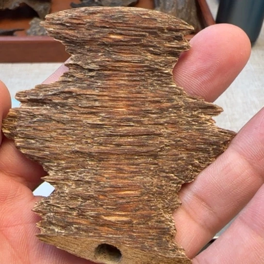 沉香摆件深圳虫漏7.7克