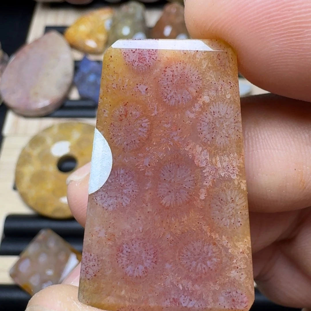 未镶嵌纯天然色有机玉石保真色硅化玉