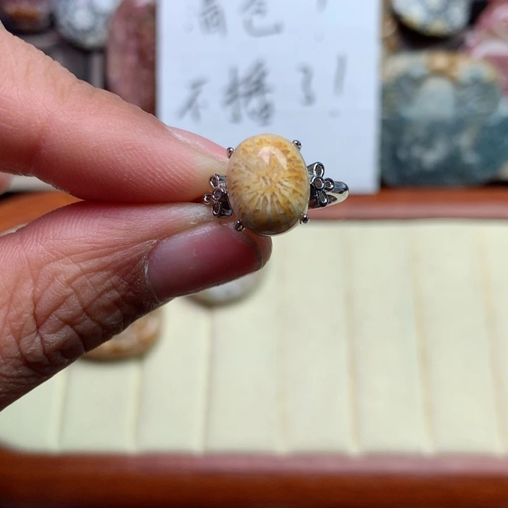 硅化珊瑚（珊瑚玉）颈饰未镶嵌
