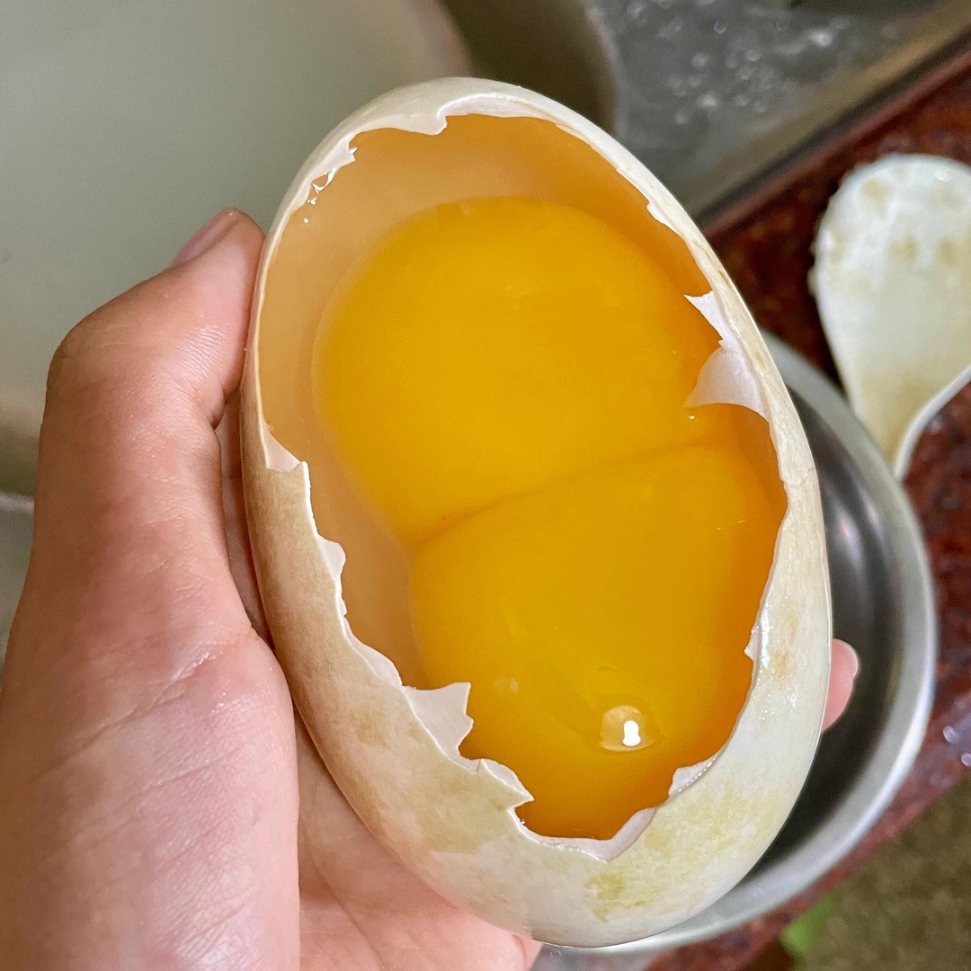 【破算包赔】湖北百里洲农家散养双黄土鹅蛋现捡现发无激素粮食