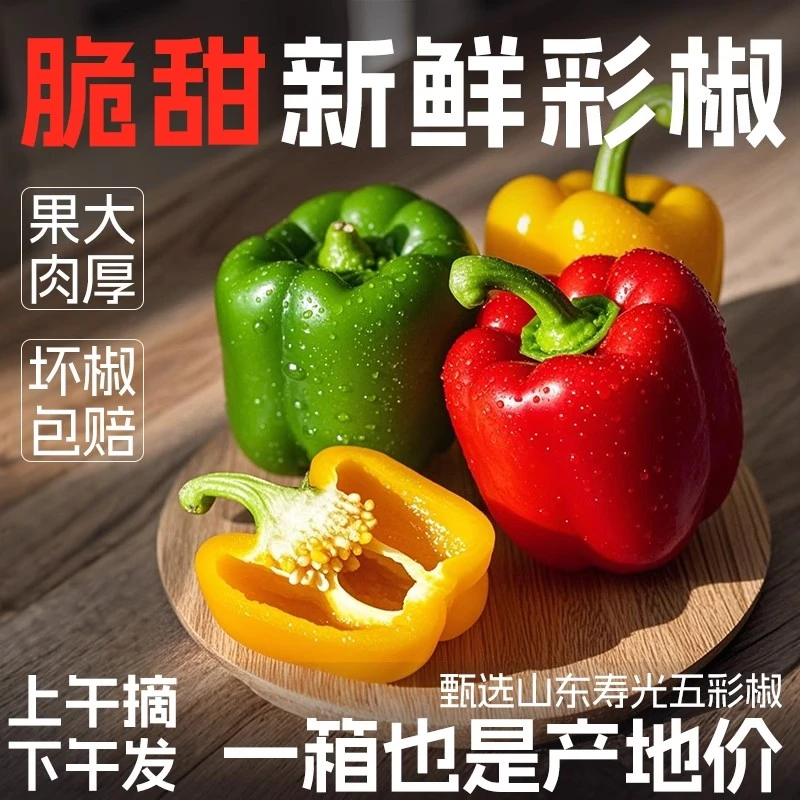 水果彩椒新鲜五彩甜椒生吃七彩圆椒山东寿光蔬菜灯笼椒