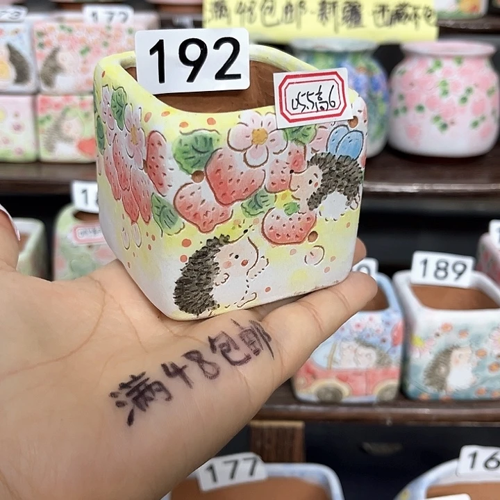 手工制作多肉花盆