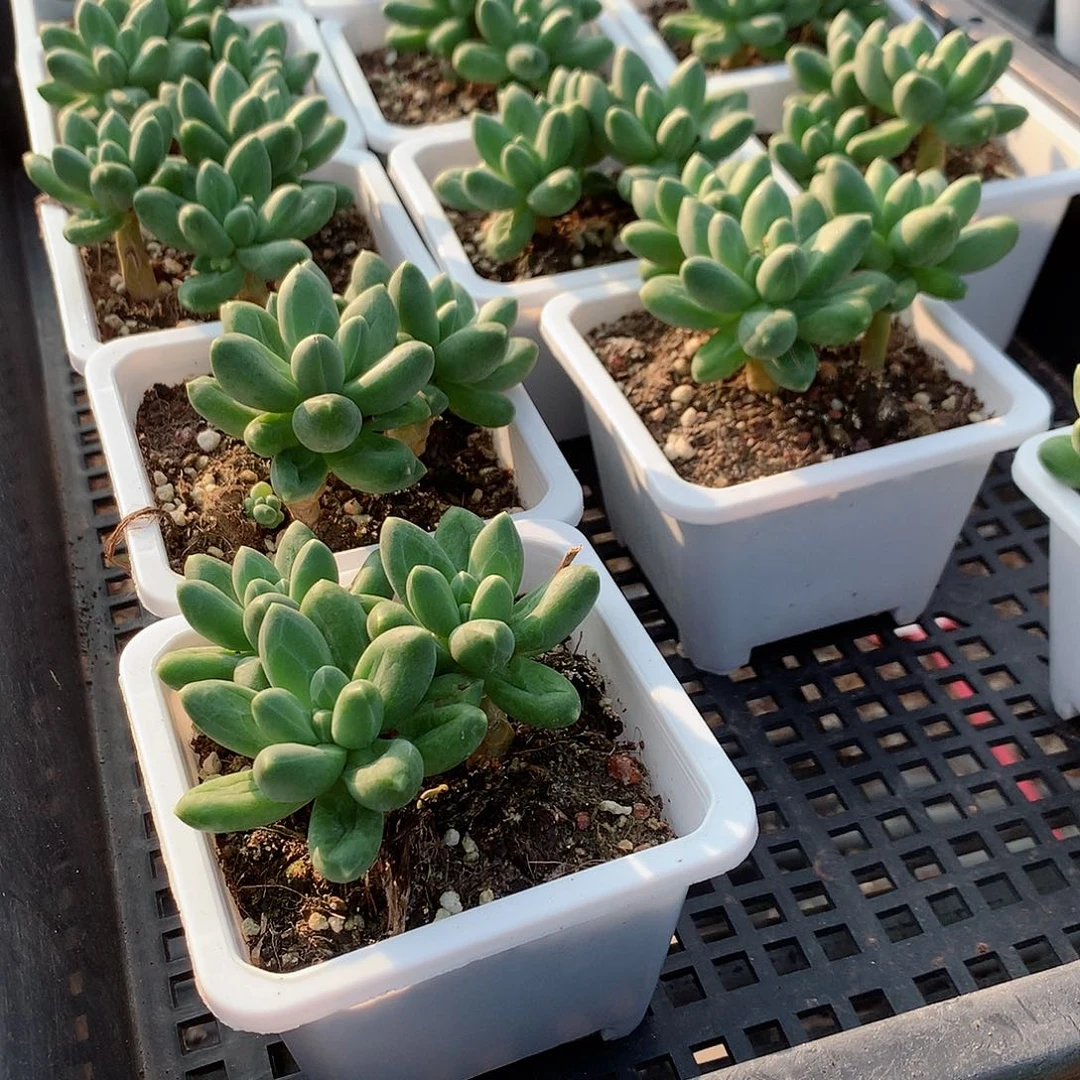 千代田4444444444744444