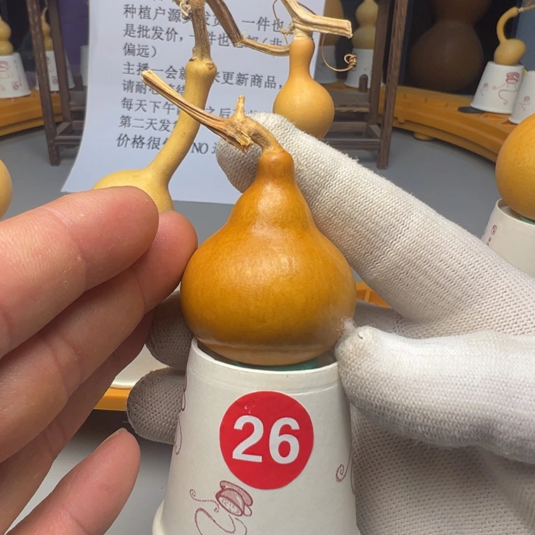 闪电购自助下单编号26