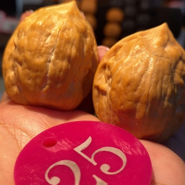 14号链接马头琴39尺寸，毕业对