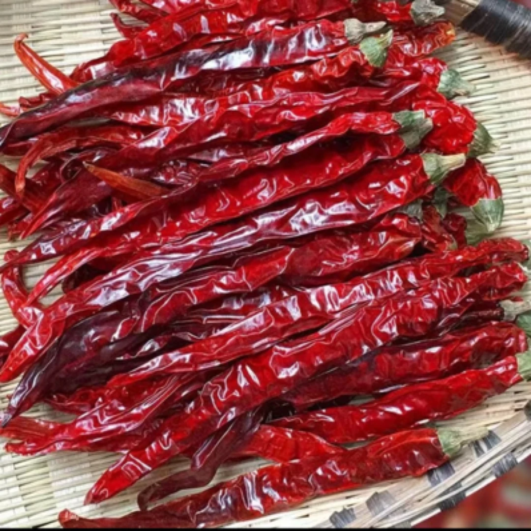 精选遵义虾子整个/二荆条/微辣（超香红油提色炝炒糍粑辣椒）