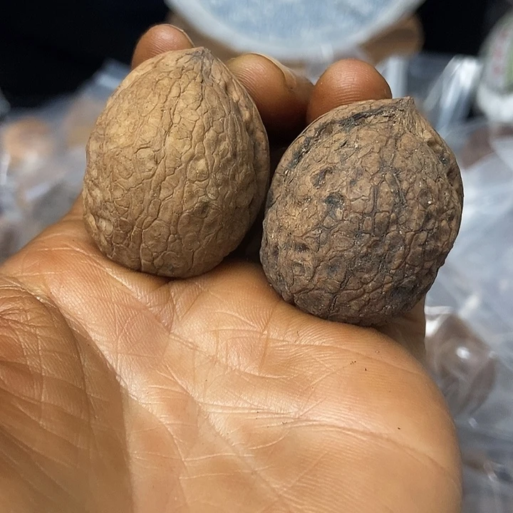 把件文玩核桃云南铁核桃基地37