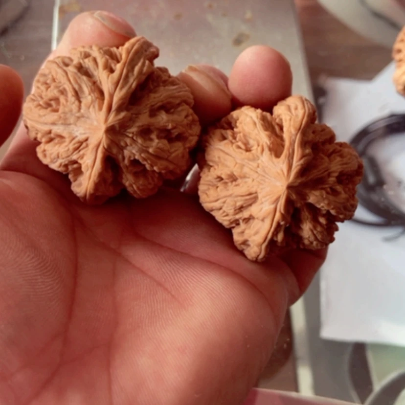 【闪购商品】海***里45尺寸有修大粗筋