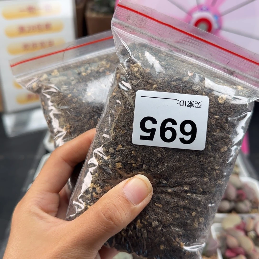 蝎***️695土两包多肉植物