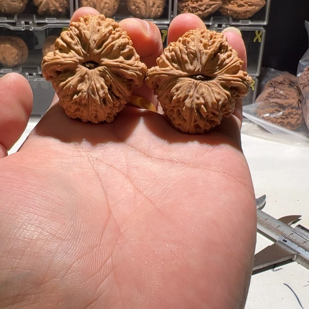 灵***洞把件文玩核桃南疆石