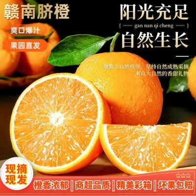 江西正宗赣南脐橙应季产地直发甜橙现摘脐新鲜果园手剥橙当季