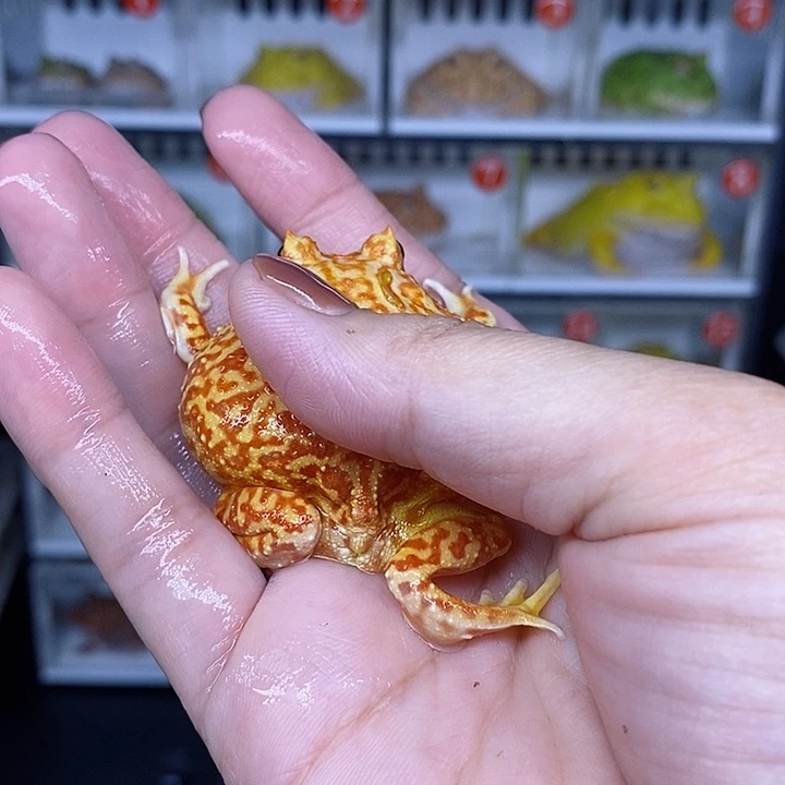 特价秒杀现货特价残