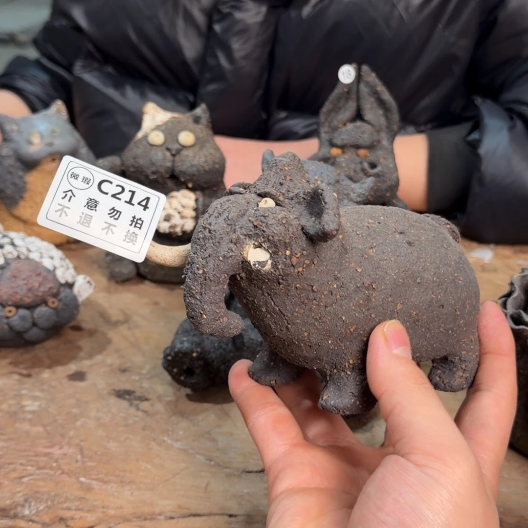 壶杯一一一一一一一214