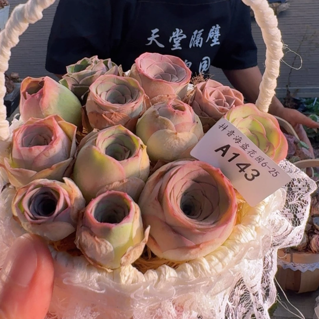 老***语A143 蕾丝花篮玫瑰组合