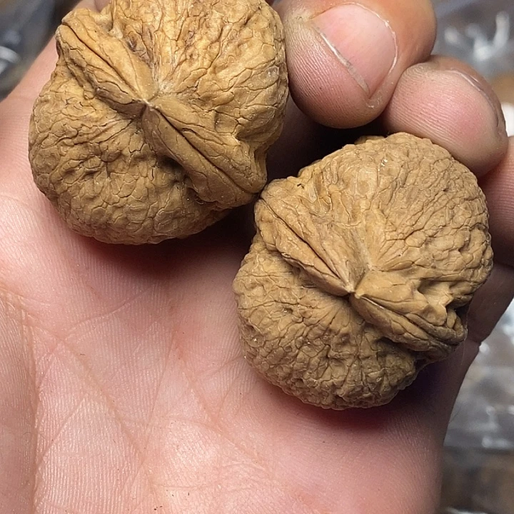 文玩核桃把件云南铁核桃92