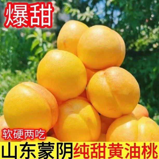 【头茬】山东蒙阴黄金油桃黄菊油新鲜