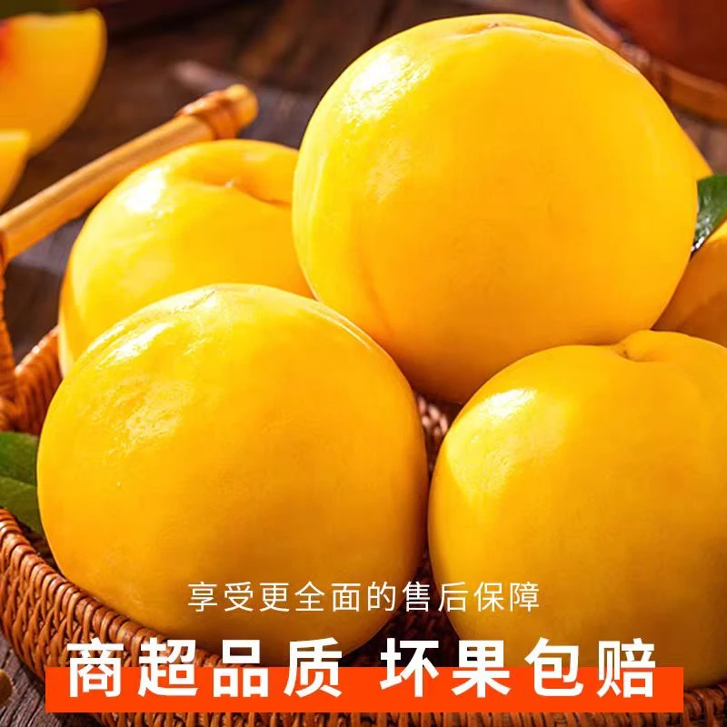 【枣阳邮政助农专属】新鲜现摘香甜多汁锦绣黄桃当季应季水果