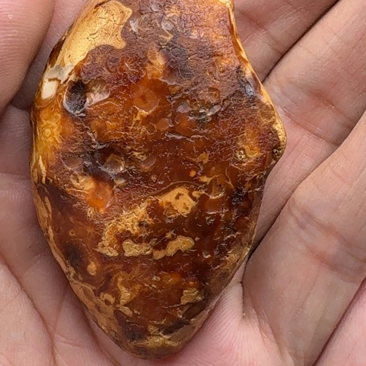 弓***定制琥珀未镶嵌未镶嵌定制琥珀