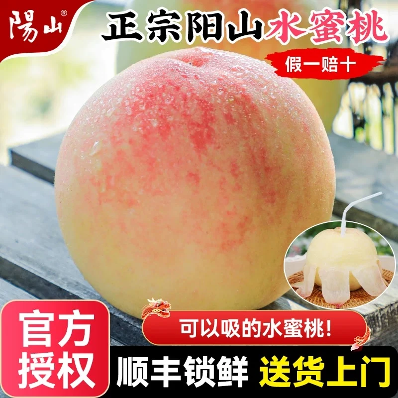 【开园亏500单6-5两】正宗无锡阳山水蜜桃新鲜现采现摘香甜爆汁礼盒