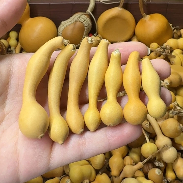 葫芦葫芦葫芦可拆
