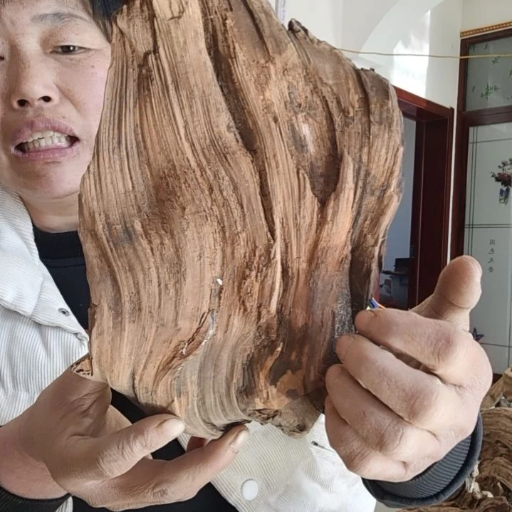 风车木（黑檀木）旺**行