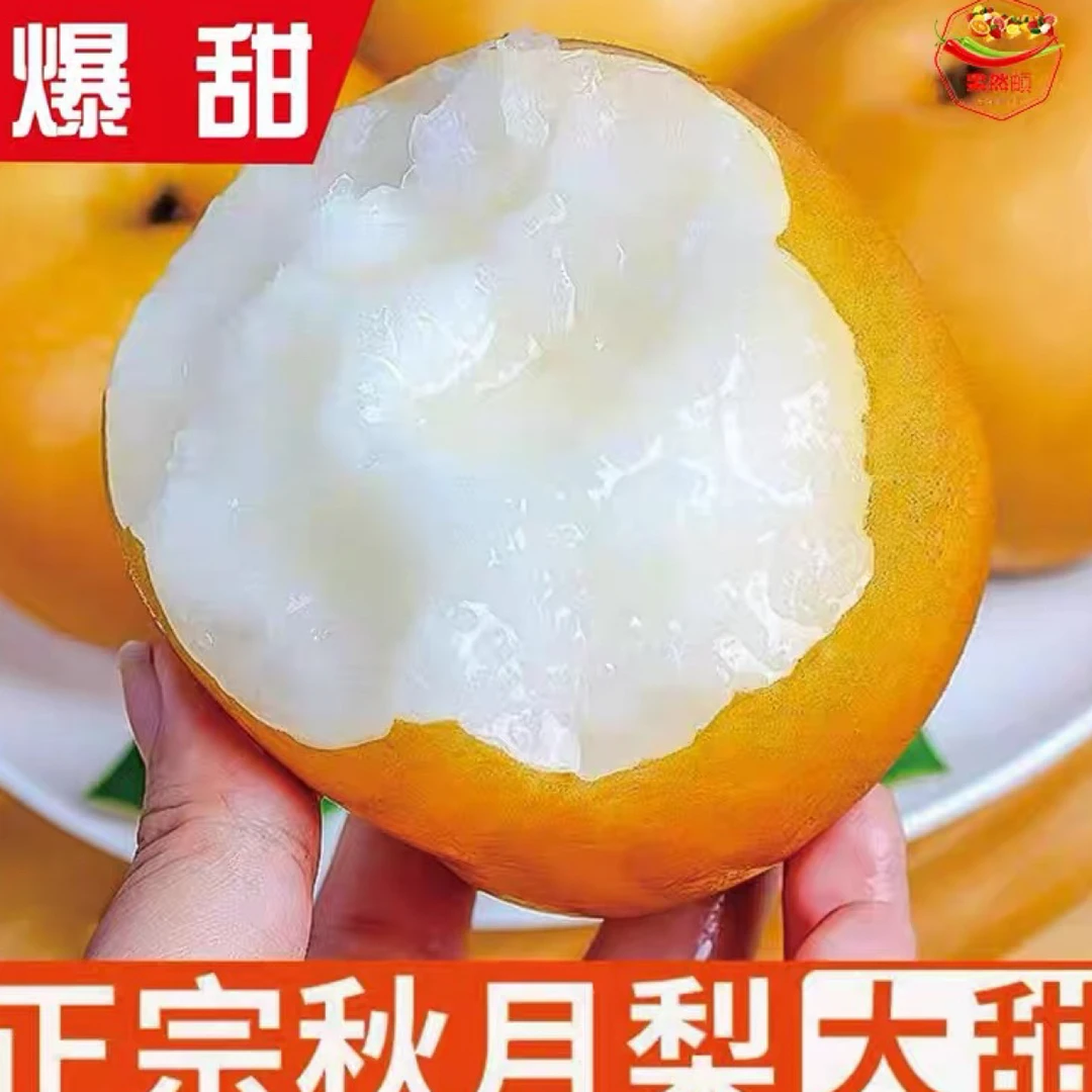 山东莱阳秋月梨小箱6颗约4斤 纯甜无渣水分足 2025年新梨