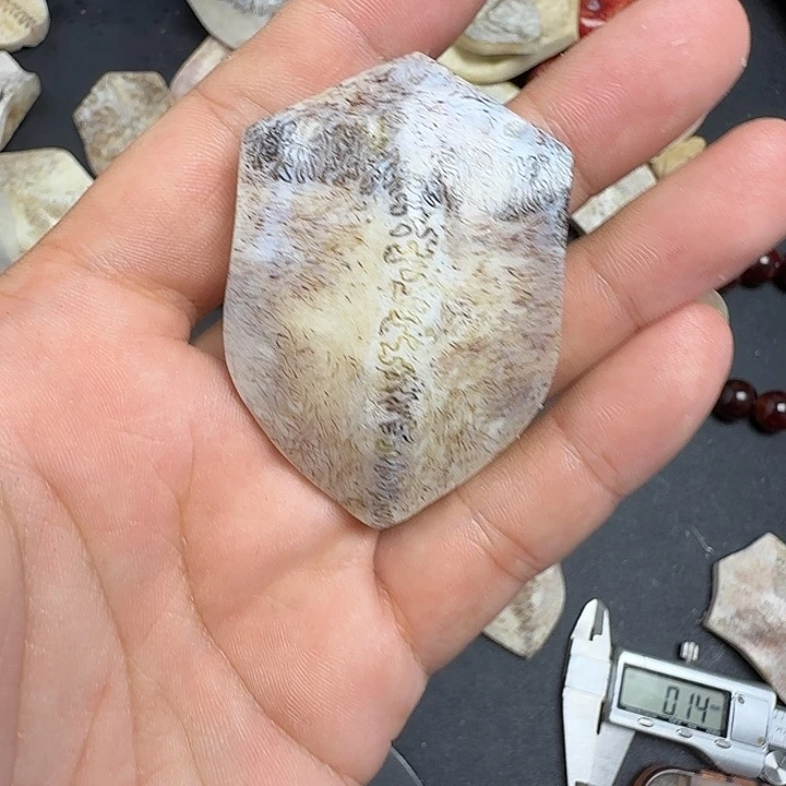 ʚ***ɞ花岗石铁合金养殖鹿头骨制作三界牌