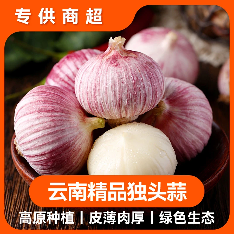 【云南独头蒜】十成干紫皮新鲜大蒜红皮大蒜头香蒜独蒜农家生鲜囤货