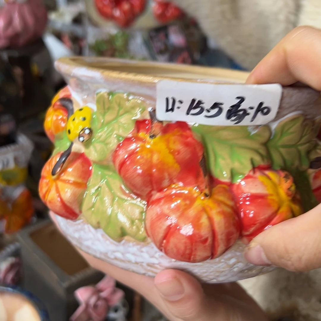 花盆，拍满20发货，退款拉黑