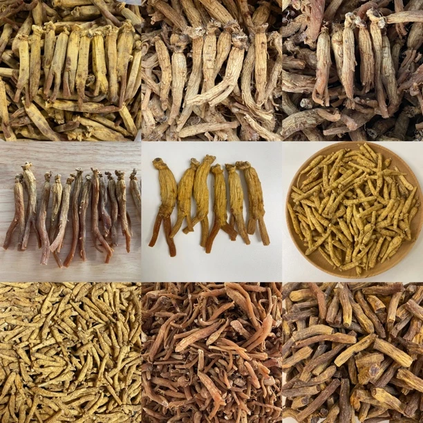 【容】松松  可搭人参煲汤