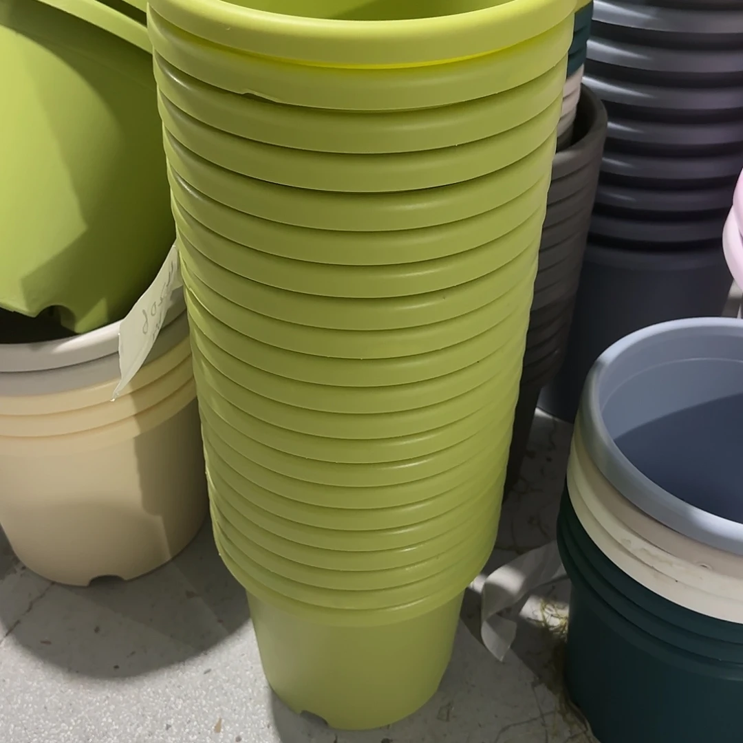 编号4206，4号无托