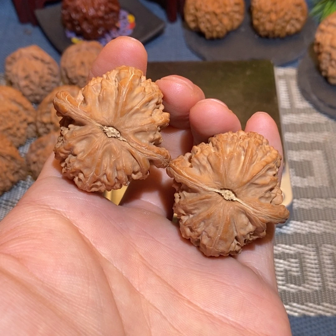 40尺 全品无修白茬 球白