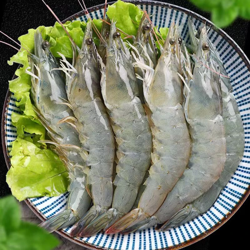 新鲜海洋大虾活虾速冻88/4斤13-16cm 45-55只左右 顺丰发货精品