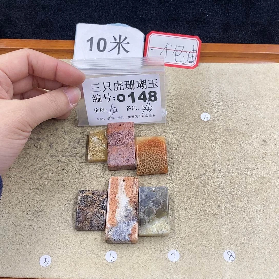 硅化珊瑚（珊瑚玉）1未镶嵌晒****钙