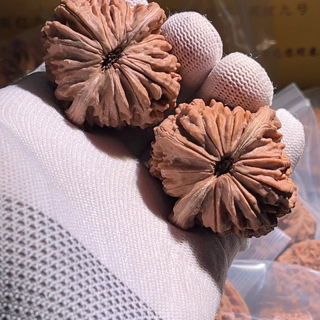 张***忍全品。43楼子 裙搭配 精髓。