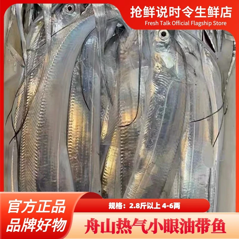 2025开渔季新鲜东海热气舟山小眼油带鱼 4-6两/条，2.8斤以上5-6条