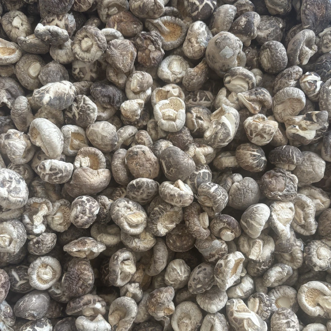 湖北随州特产小花菇干货肉厚味浓煲汤美味农家剪脚冬菇