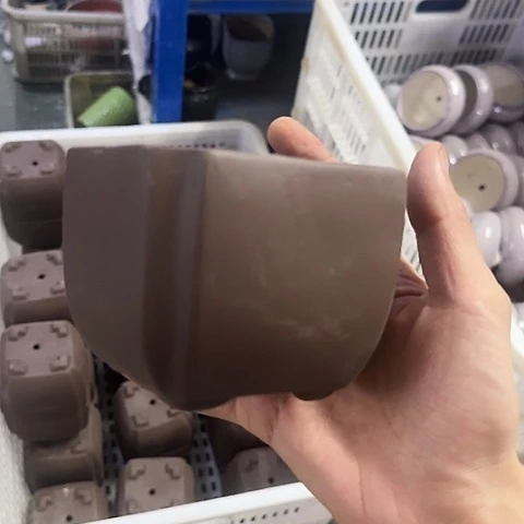 ····全是福利·····