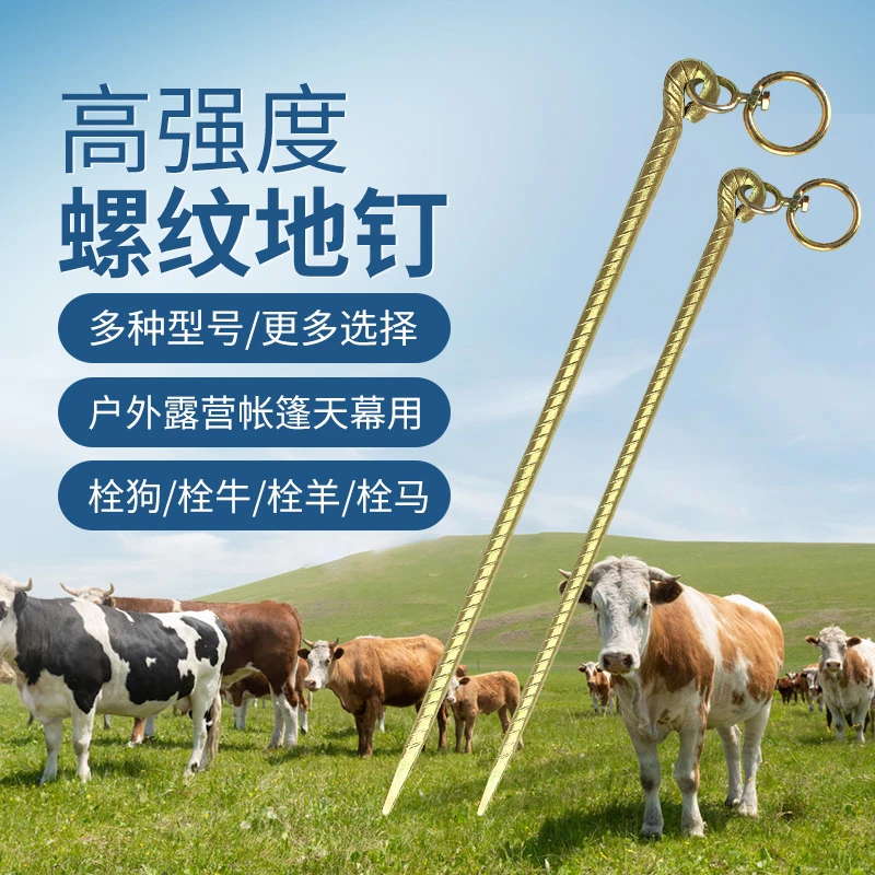 加粗拴牛羊橛子地钉螺纹钢筋地钉户外地丁防风栓狗固定器露营地桩