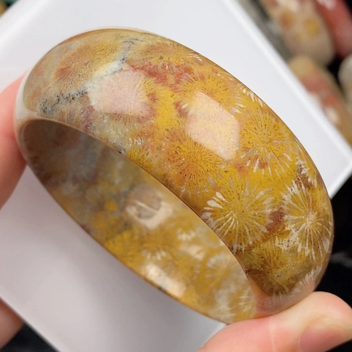 硅化玉未镶嵌颈饰56.5