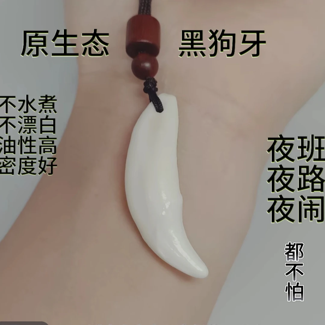福利品 牙吊坠  到手2颗送绳子