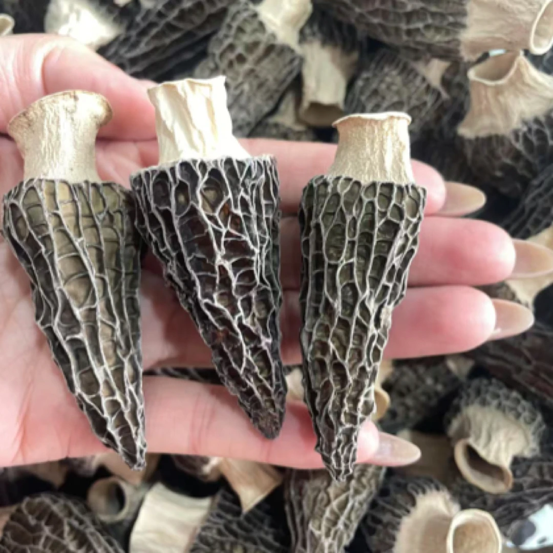 羊肚菌《中大5-8厘米规格》精品无硫肉质厚煲汤牛肚菌香干货滋补