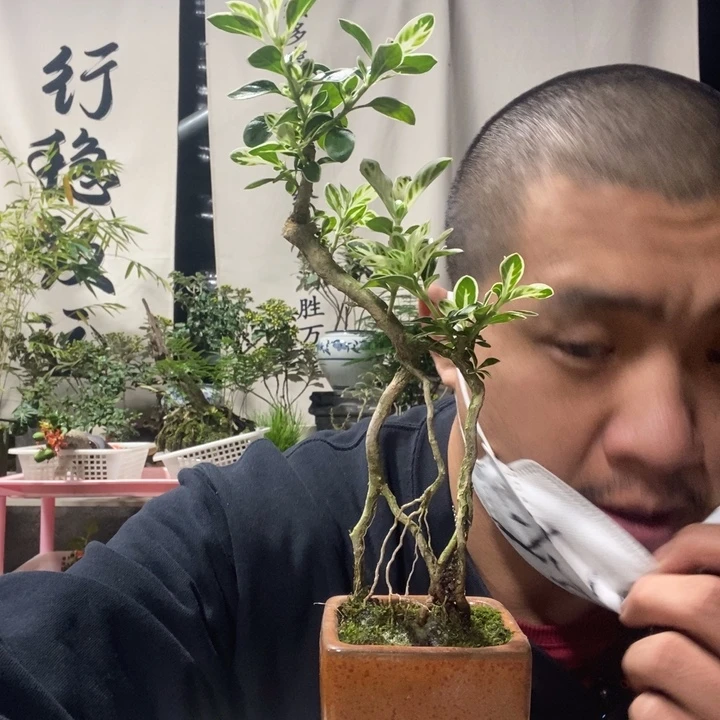 无花朵退款拉黑拉黑150