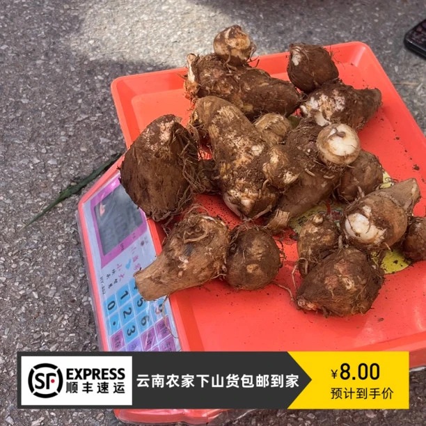 【大个山货】云南芋头