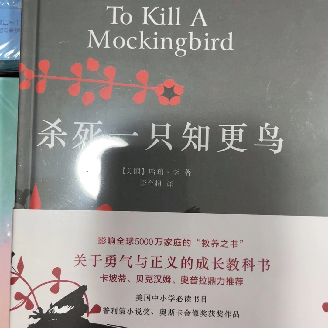 杀死一只知更鸟精装^_^