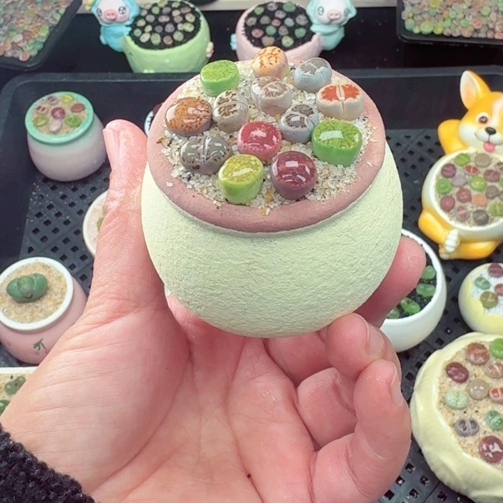 820零下地区记得拍保温箱