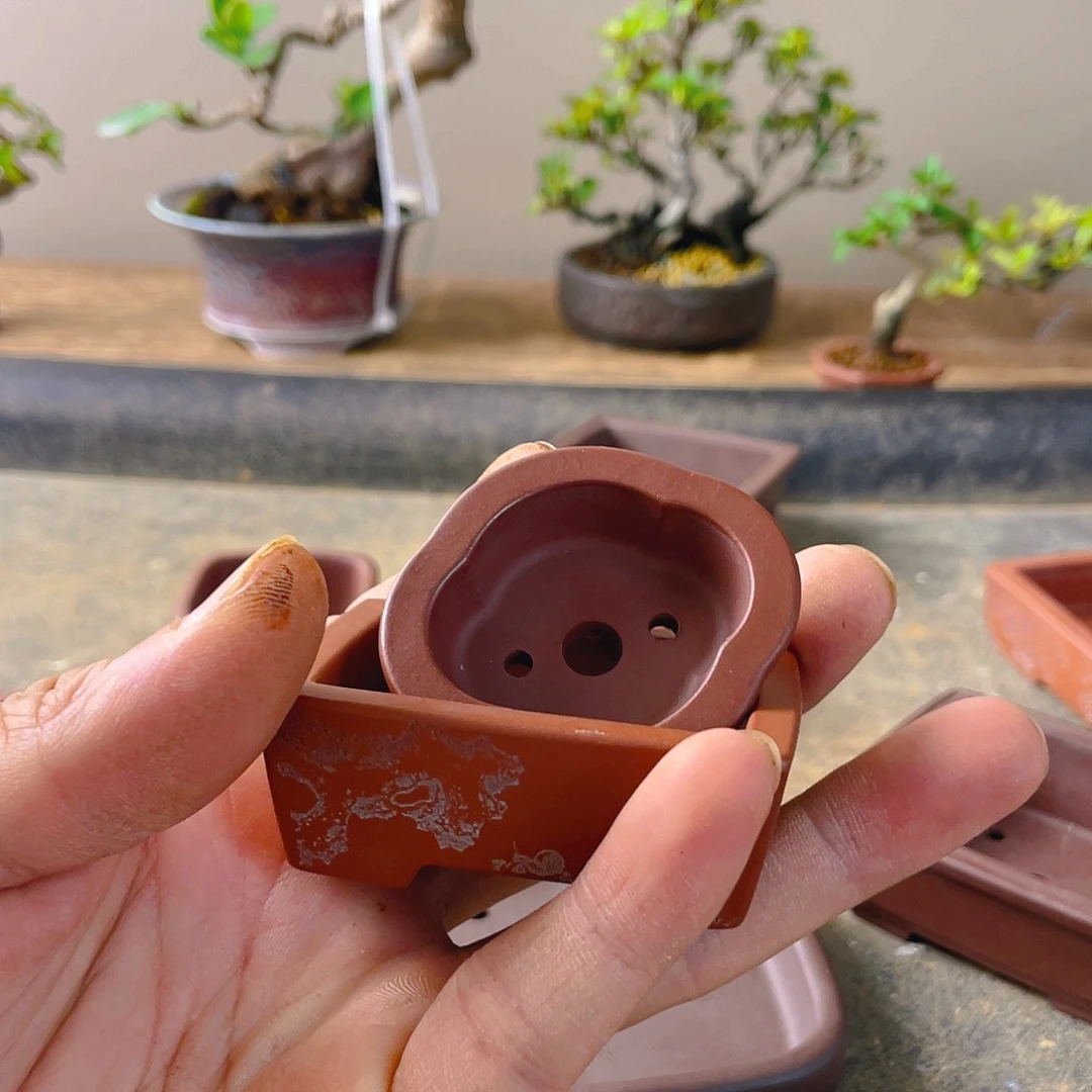 1***3无花朵两个认花开富贵吉祥