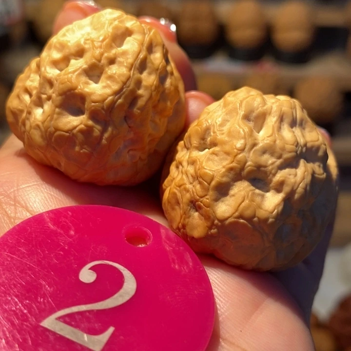 5号链接金蟾疙瘩包35尺寸