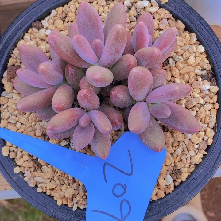 这么久的变化是你想